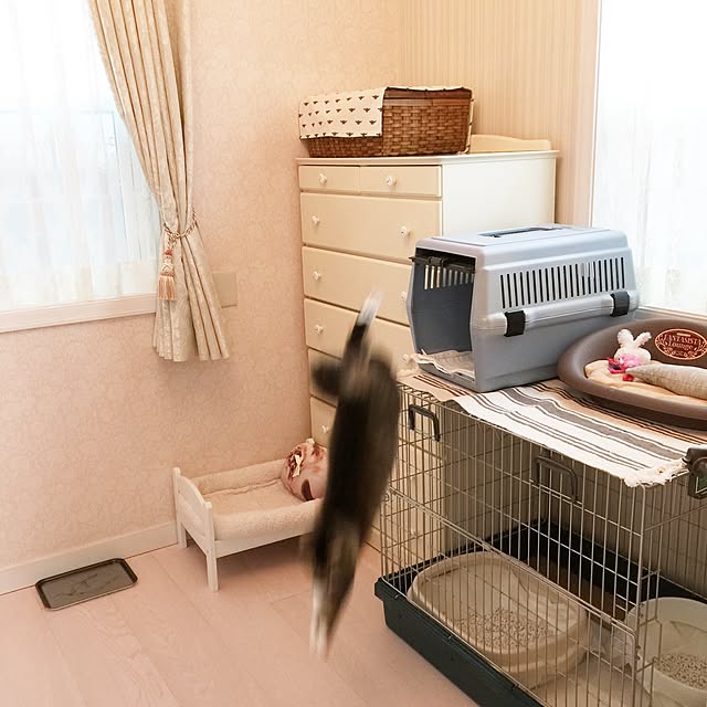 yuchiさんの実例写真