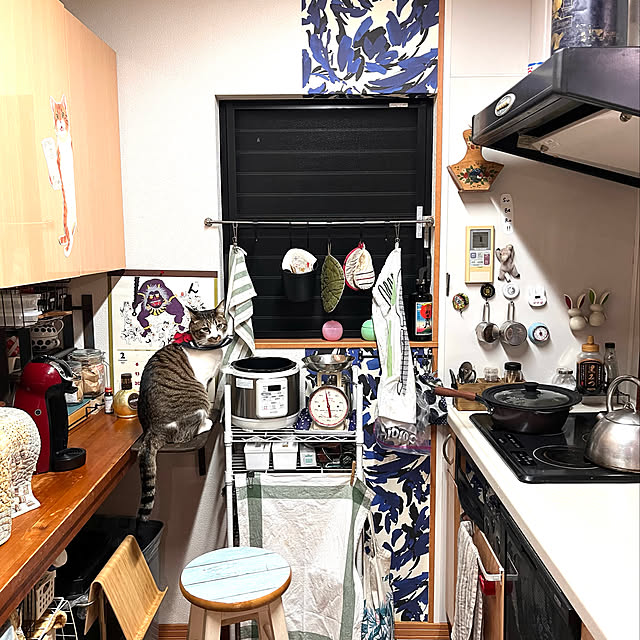 jijiさんの実例写真