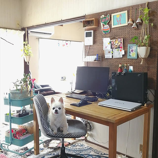 maiさんの実例写真