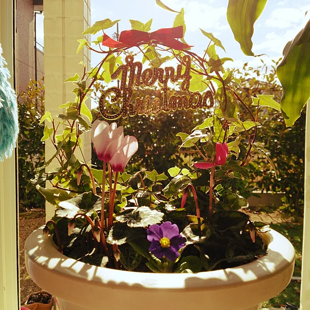mayunoさんの実例写真