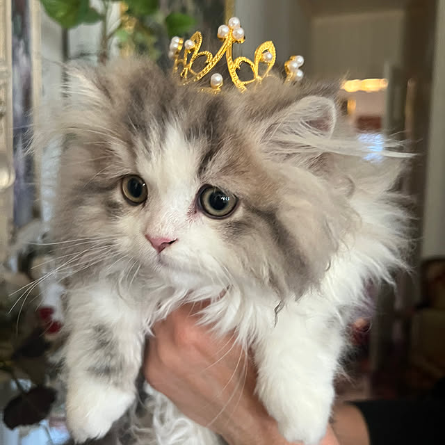 AYUKOさんの部屋