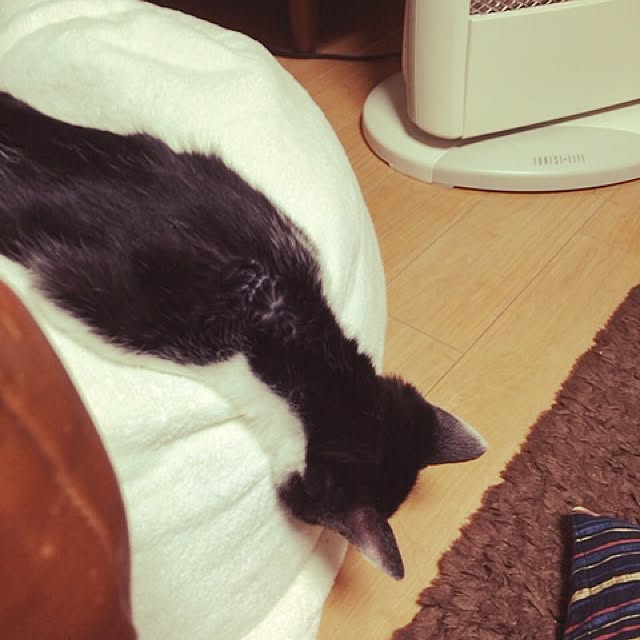y_uu122さんの実例写真