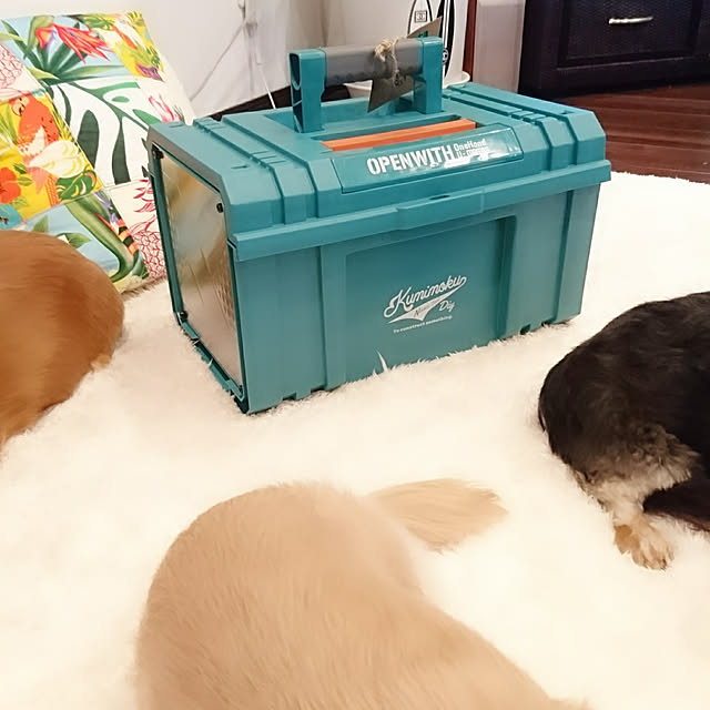 cocosorasakuさんの実例写真