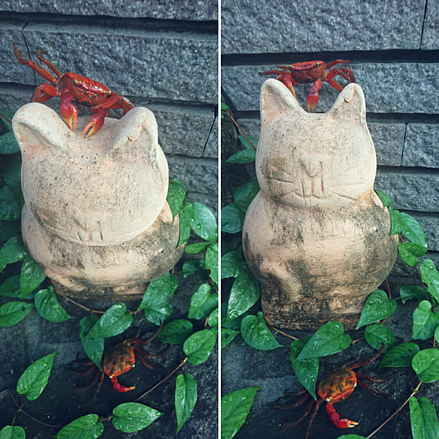 uchizukonyanさんの実例写真