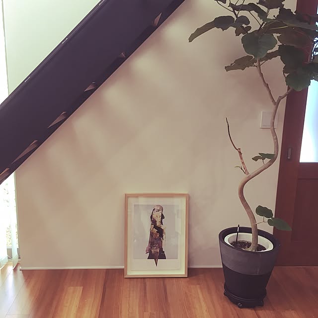Tsukiyomiさんの実例写真