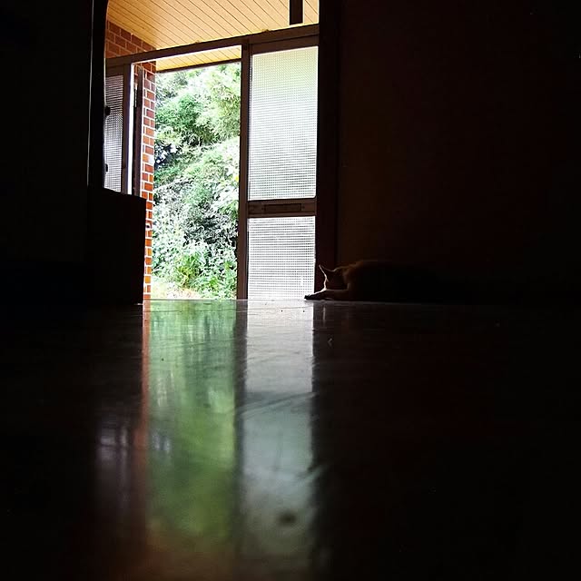 siraconoさんの実例写真