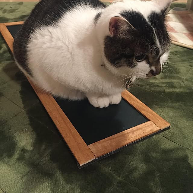 amandaさんの実例写真