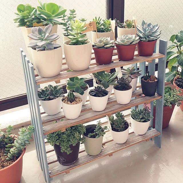 naocoさんの実例写真