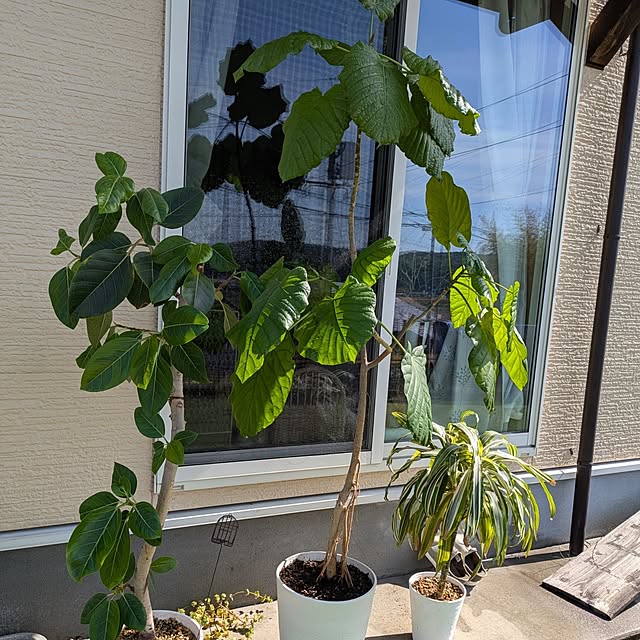 akiさんの部屋