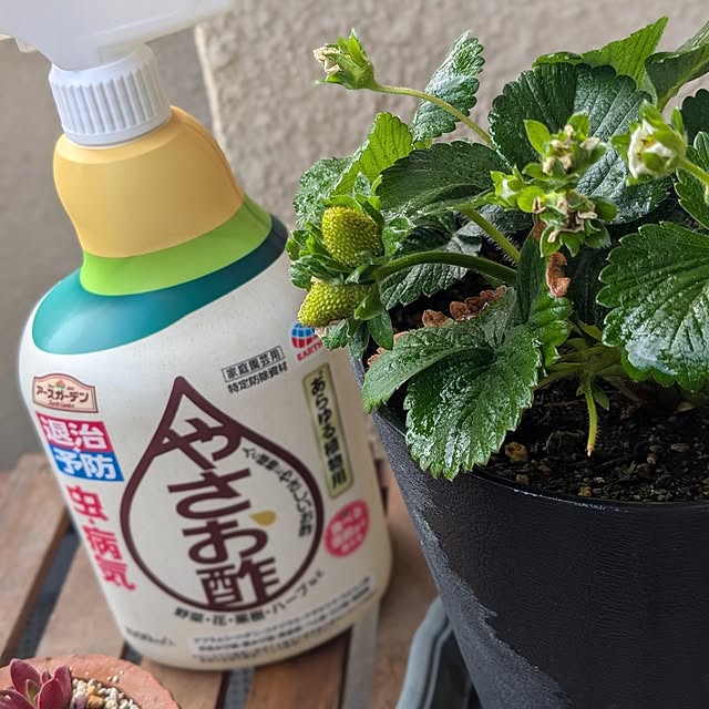 reeさんの実例写真