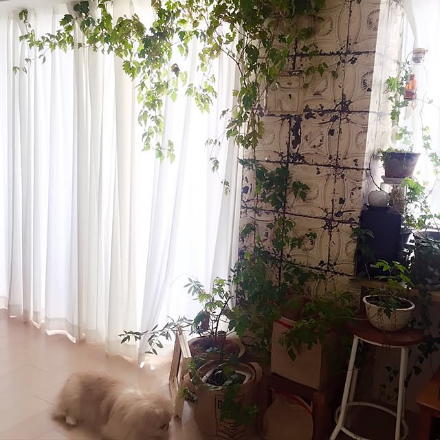 bubuさんの実例写真