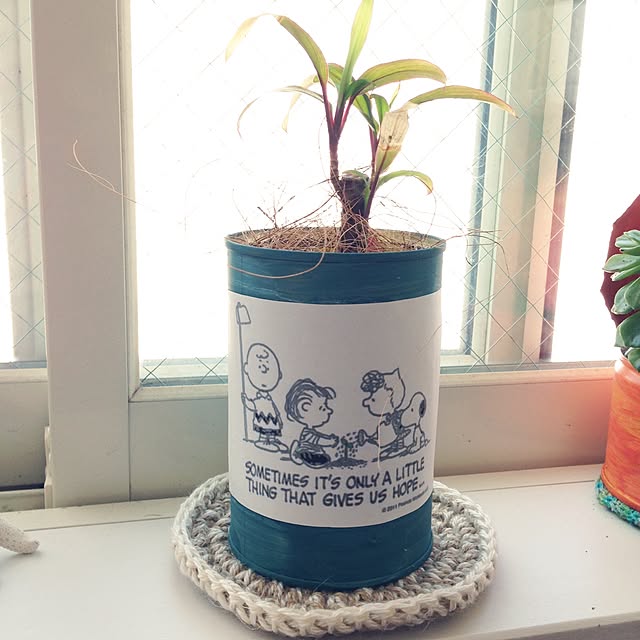 kanaeさんの実例写真