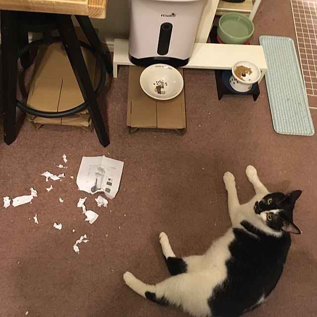mikomaruさんの実例写真