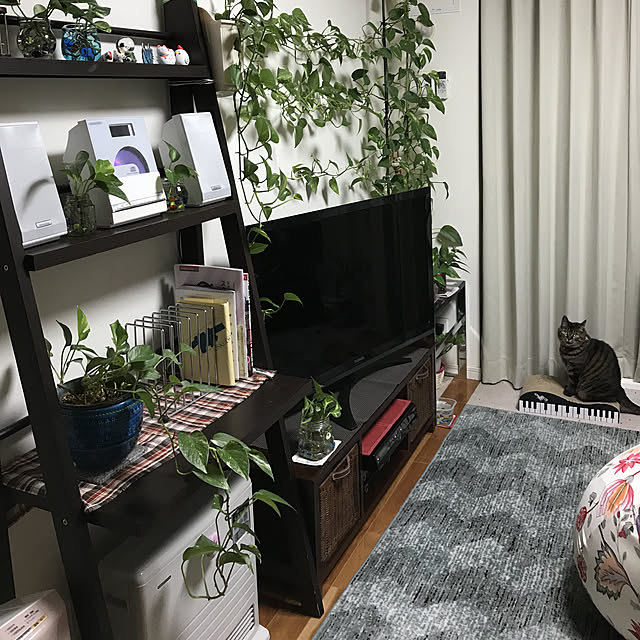maruさんの実例写真