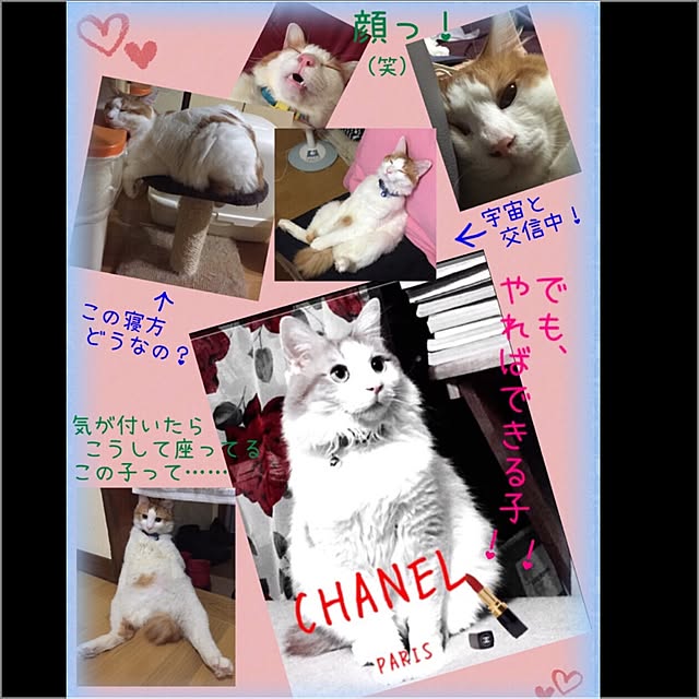 maria.rさんの実例写真