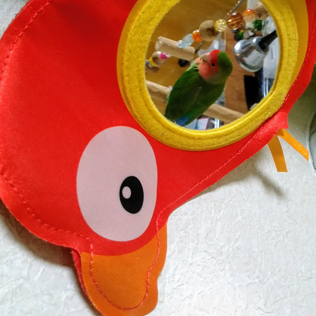 toratanさんの実例写真