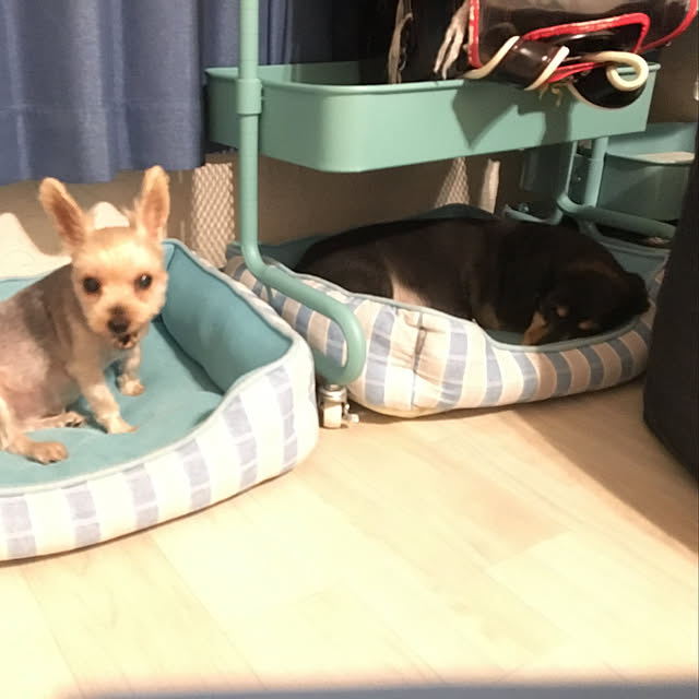 ohanaさんの実例写真