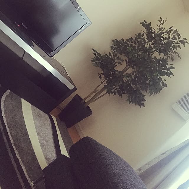 Mi_Melonさんの実例写真