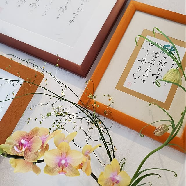 limitezさんの実例写真