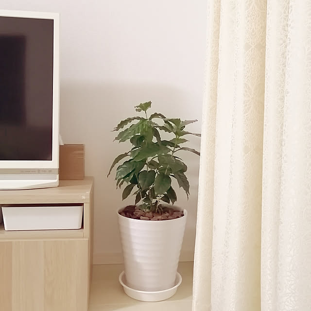 ishicoroさんの実例写真