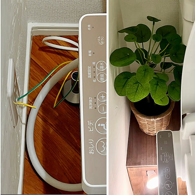 cotoriさんの実例写真
