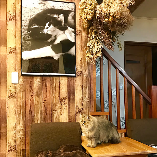 butachanさんの実例写真
