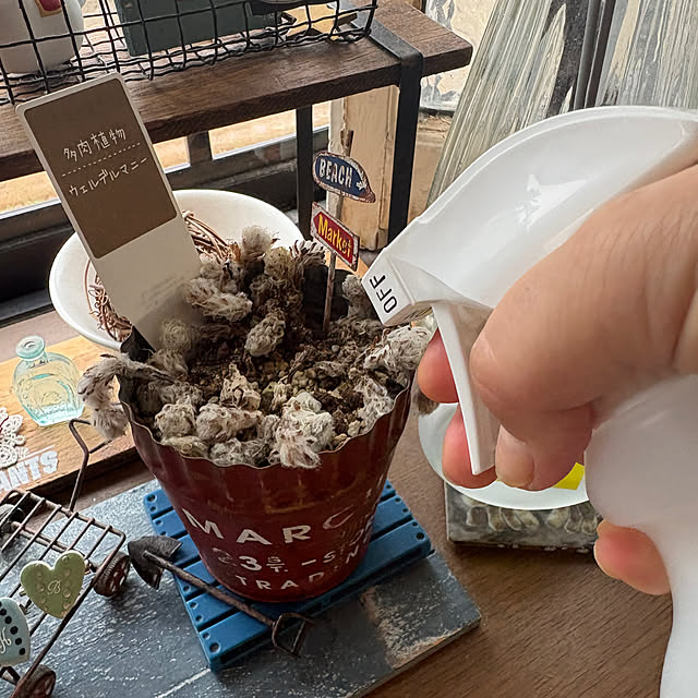 icietlaさんの部屋