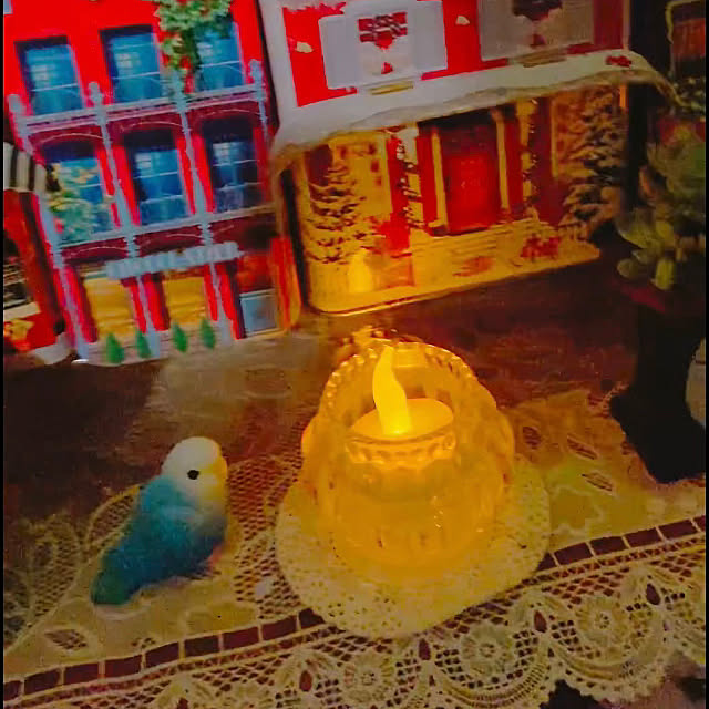 Hanakaさんの部屋