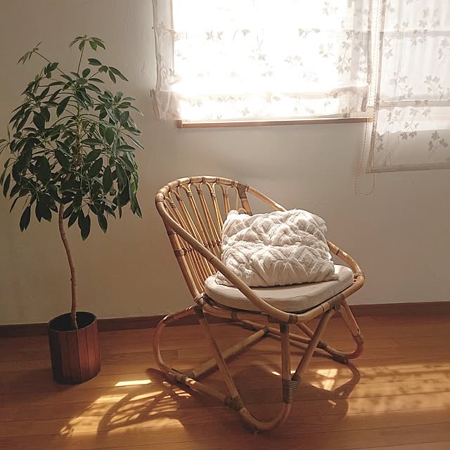 Mi-koさんの実例写真
