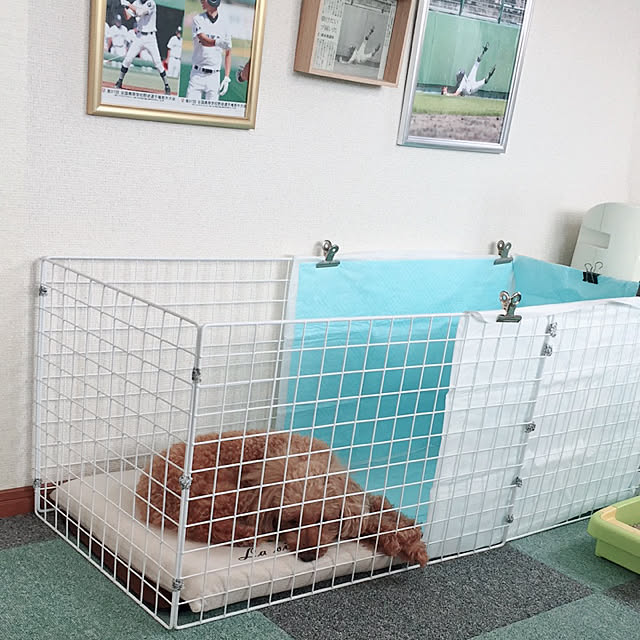 odekoさんの実例写真