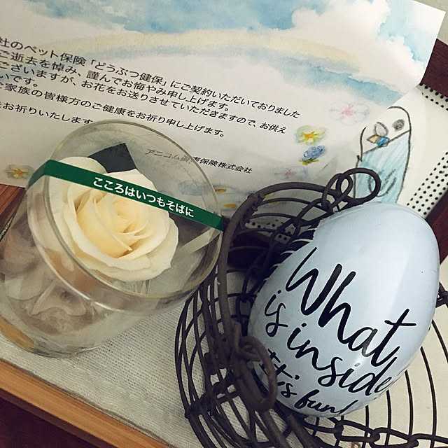 ohanaさんの実例写真