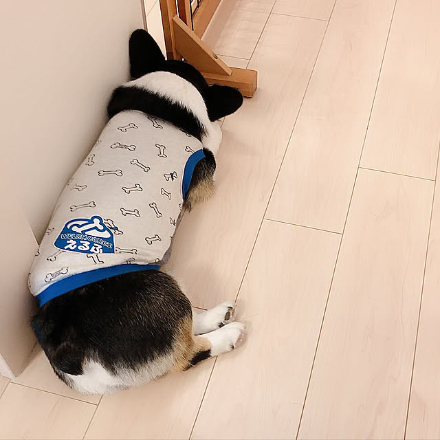 Ruiさんの実例写真