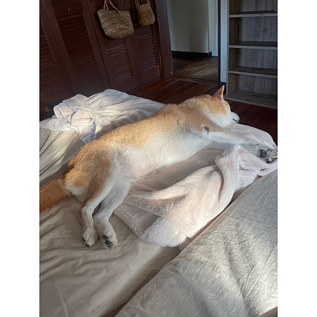 mionakiseさんの実例写真