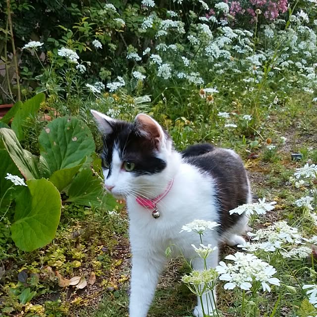 yum0408さんの実例写真