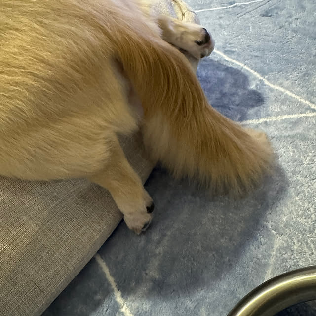 Rainyさんの部屋