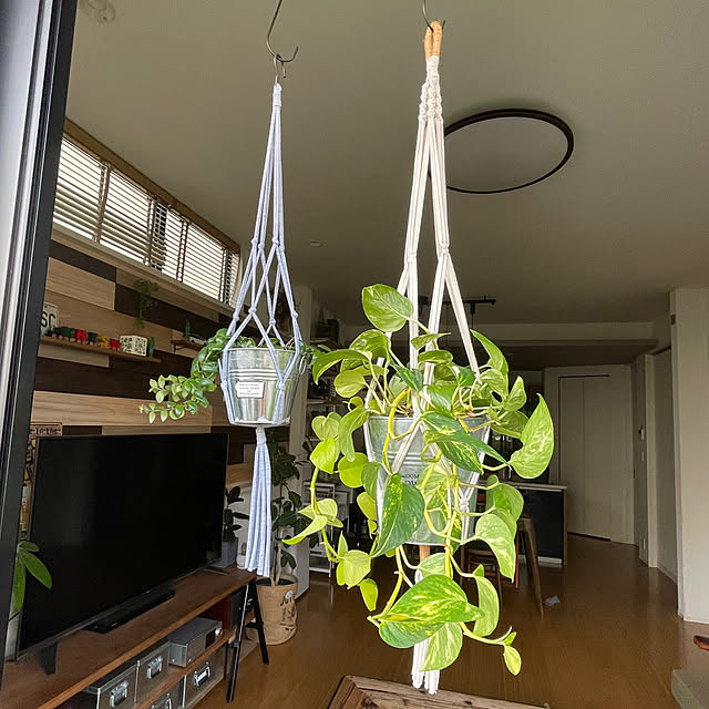 adamoさんの部屋
