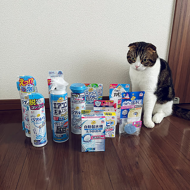 tansukeさんの部屋
