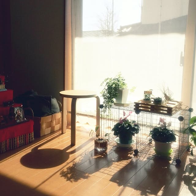 ebimasaさんの実例写真