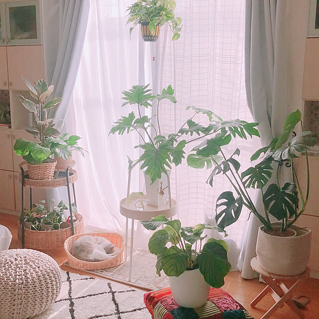 milkcocoaさんの実例写真