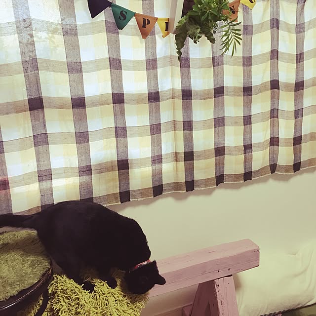 odaさんの実例写真