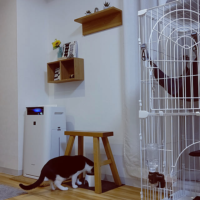 hihaさんの実例写真
