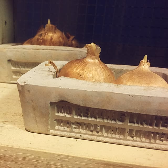 bimoさんの実例写真