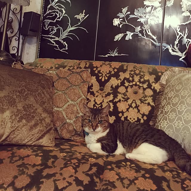 emmyyさんの実例写真