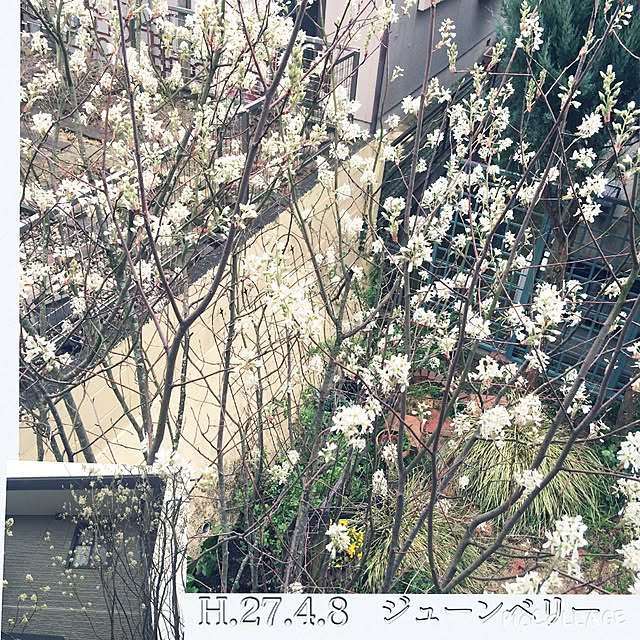 amiさんの実例写真