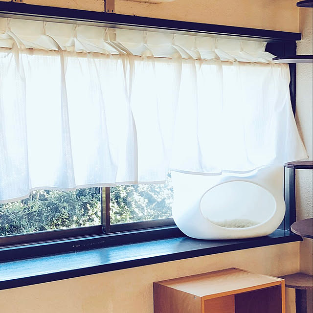 Ty's rumさんの実例写真