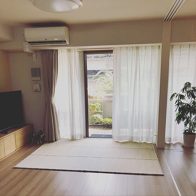 iwamayuさんの実例写真
