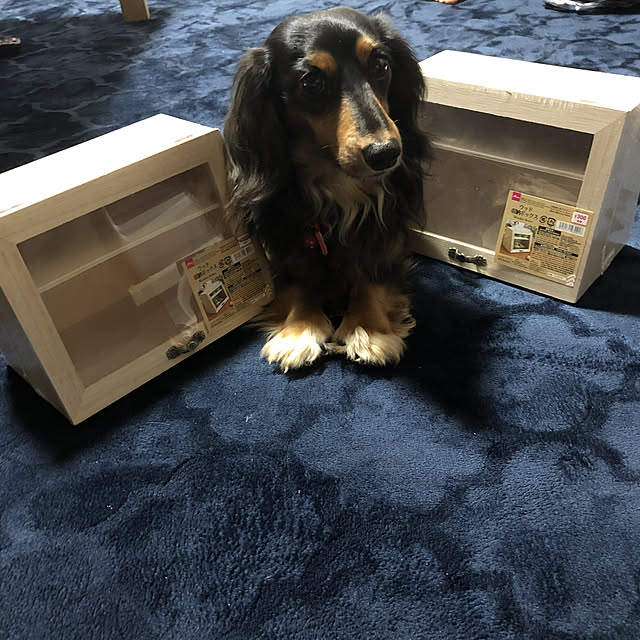 Rujuさんの実例写真