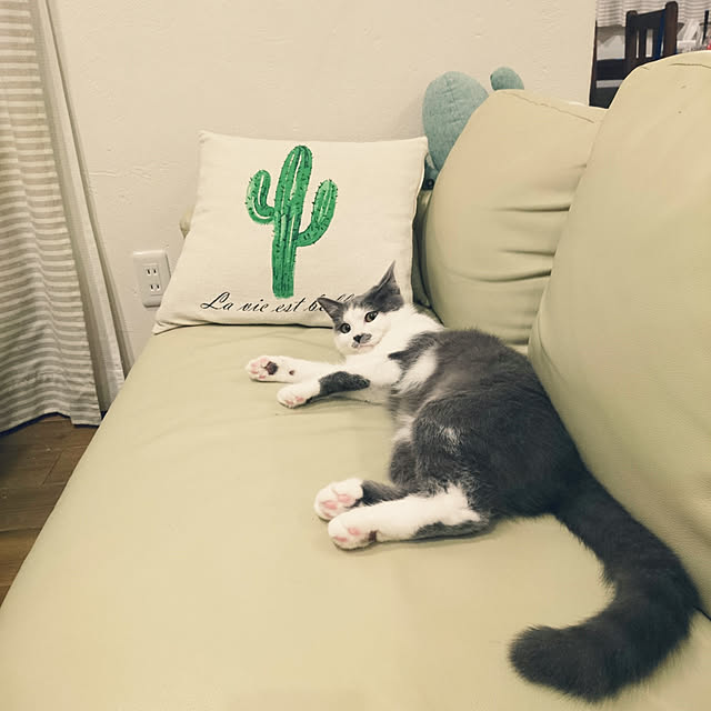 hiroさんの実例写真