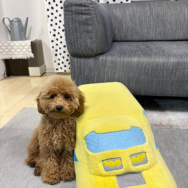 poohさんの実例写真