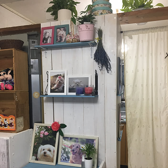 konohaさんの実例写真